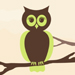 Woot Eye Design After Effects
